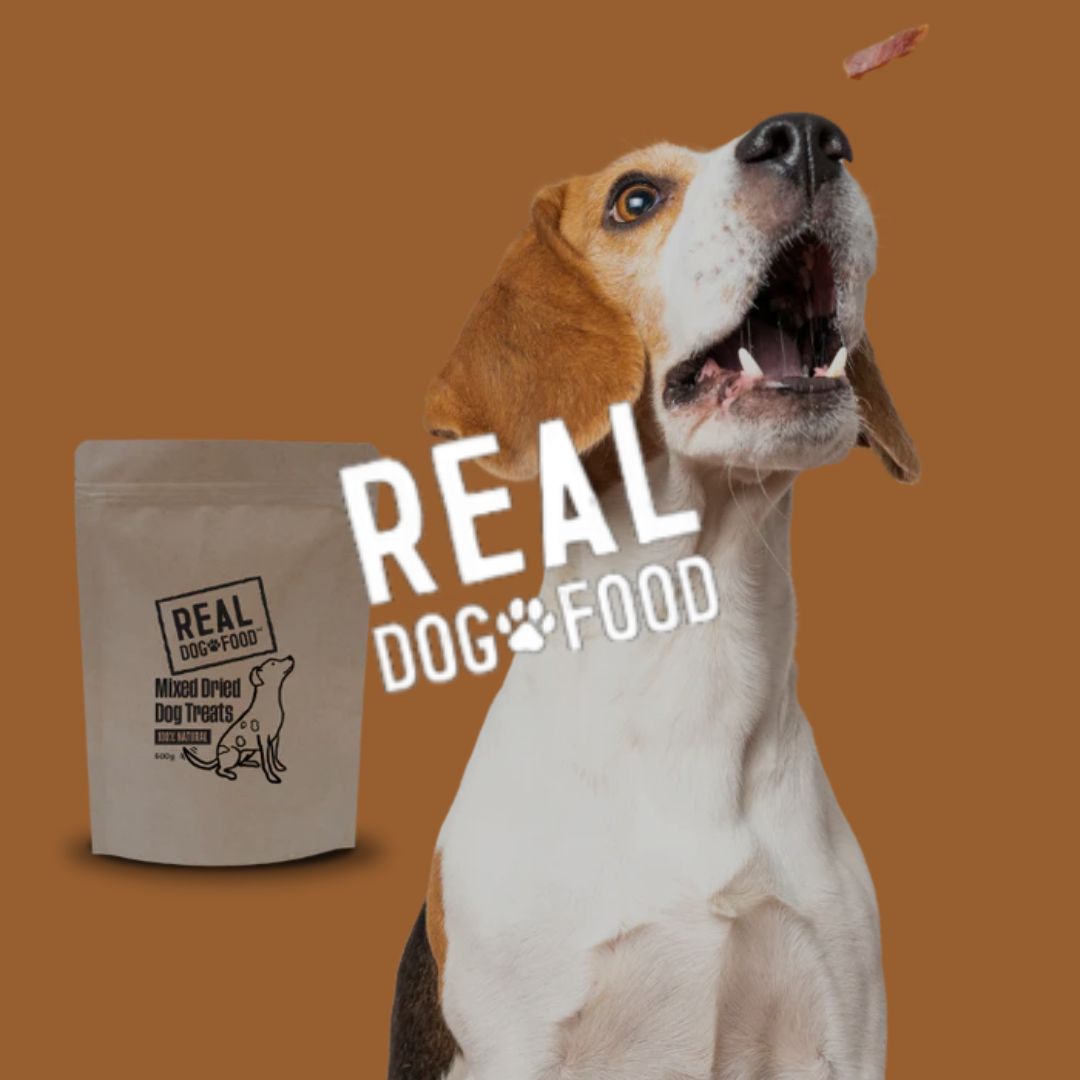 Real Dog Food